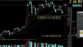 股票最新动态，深度分析与市场洞察报告