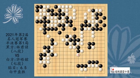 最新围棋棋谱揭秘，围棋艺术的无限魅力探索