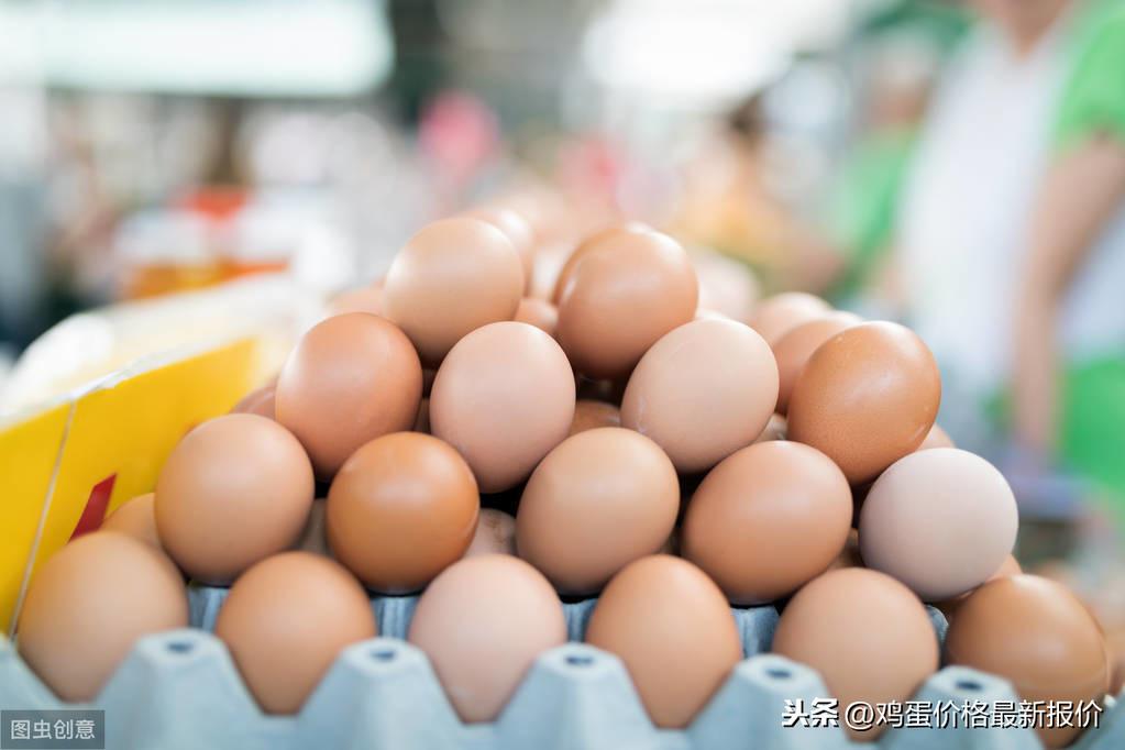 今日鸡蛋价格行情分析与趋势预测