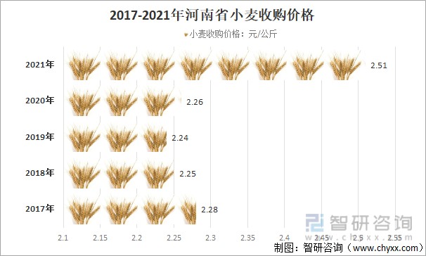 大麦价格最新行情解析