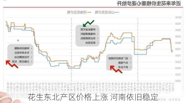 河南花生最新价格动态解析与趋势展望