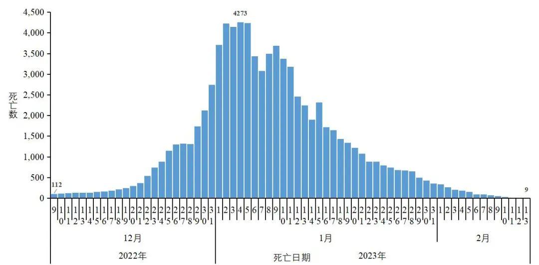 全球新冠疫情进展及应对策略最新动态分析