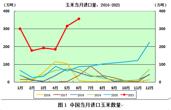 玉米市场走势最新深度解析