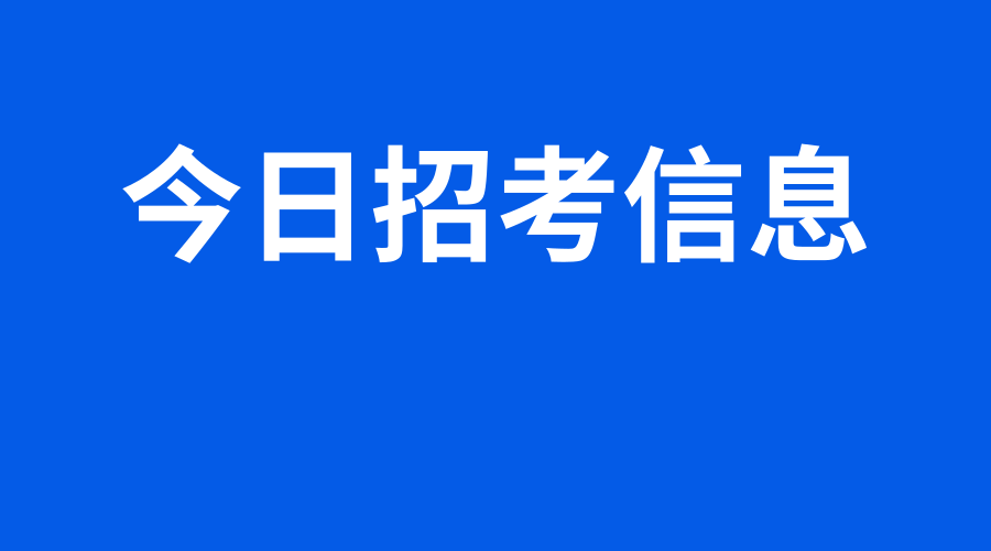 2024年11月16日 第8页