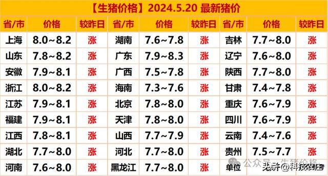 猪肉价格走势分析，最新消息、市场趋势与未来预测