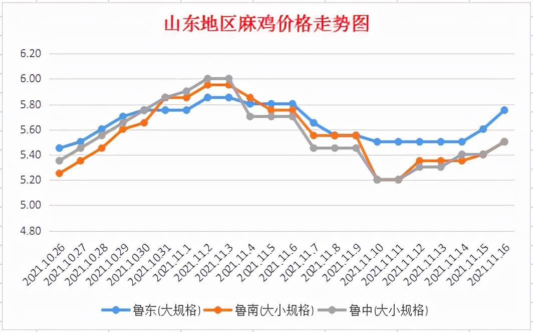 麻鸡最新价格动态与市场分析报告