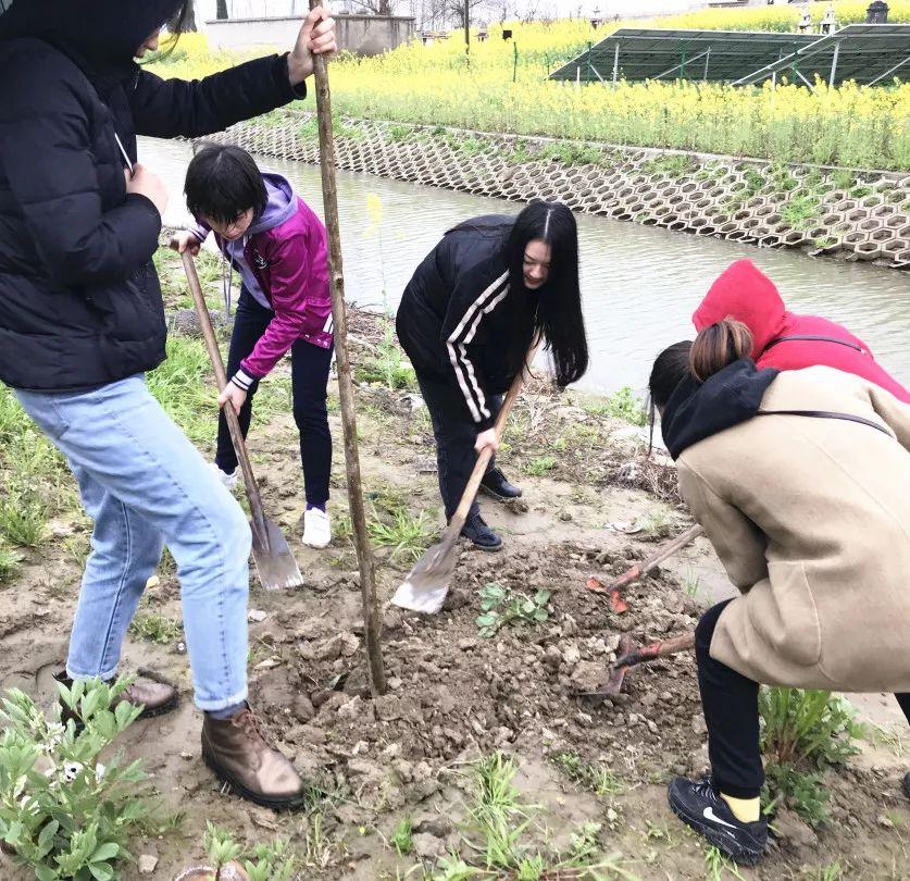 绿播下载指南，简易掌握下载方法与步骤